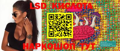 прущие крисы Можга