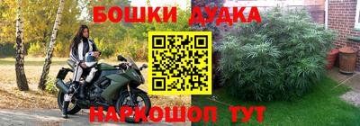 прущие крисы Можга