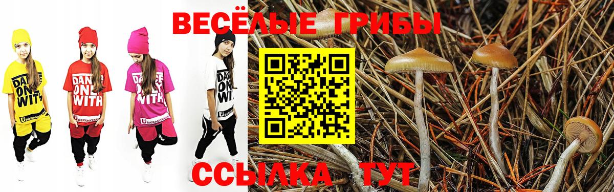 Псилоцибиновые грибы мицелий Шелехов