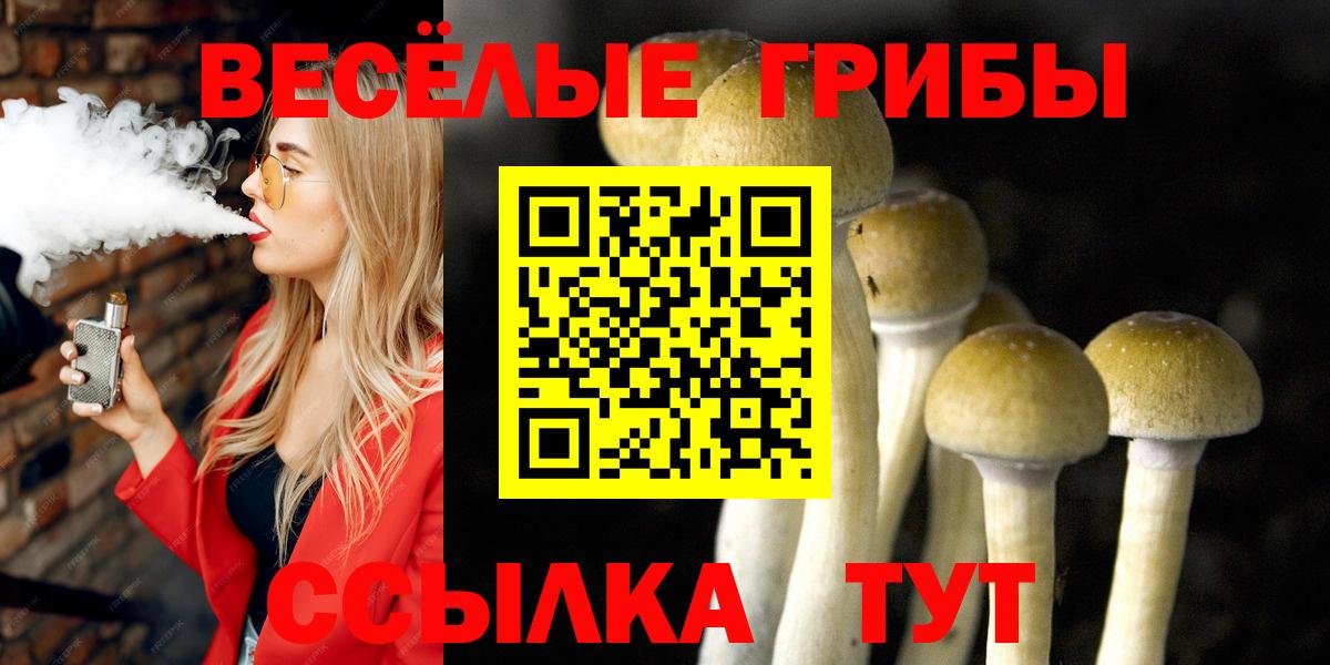 Псилоцибиновые грибы прущие грибы  Галлюциногенные грибы Psilocybine cubensis  Шелехов  цены наркотик  Вход с VPN 